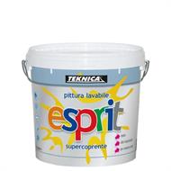 ESPRIT LAVABILE NUOVA FORMULA PLUS LT.4