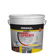 COPRENTE FISSATIVO PIGMENTATO LT.4