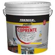 COPRENTE FISSATIVO PIGMENTATO LT.13