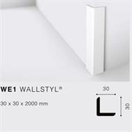 WALLSTYLWE1 PARASPIGOLO HDPS MT.2 30x30 cf.70 mt.
