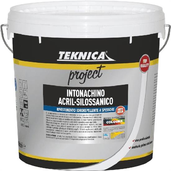 INTONACHINO ACRIL-SILOSSANICO BIANCO Gr.0,5 Kg.24