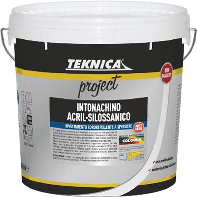 INTONACHINO ACRIL-SILOSSANICO BIANCO Gr.0,5 Kg.24