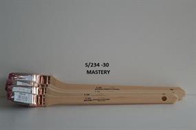 RADIATORE MASTERY N°30