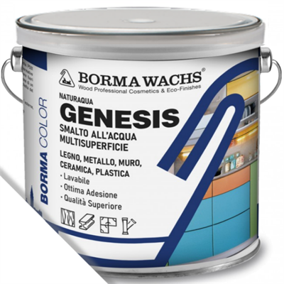 GENESIS SMALTO MULTISUPERFICIE BIANCO LT.2,5