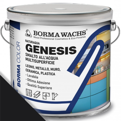 GENESIS SMALTO MULTISUPERFICIE NERO LT.2,5