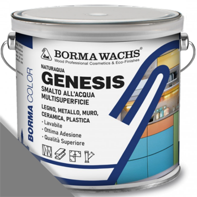 GENESIS SMALTO MULTISUPERFICIE GRIGIO ARGENTO LT.2,5