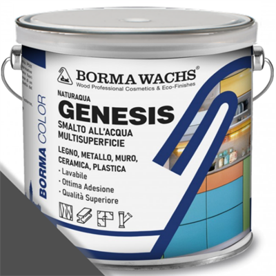 GENESIS SMALTO MULTISUPERFICIE ANTRACITE LT.2,5